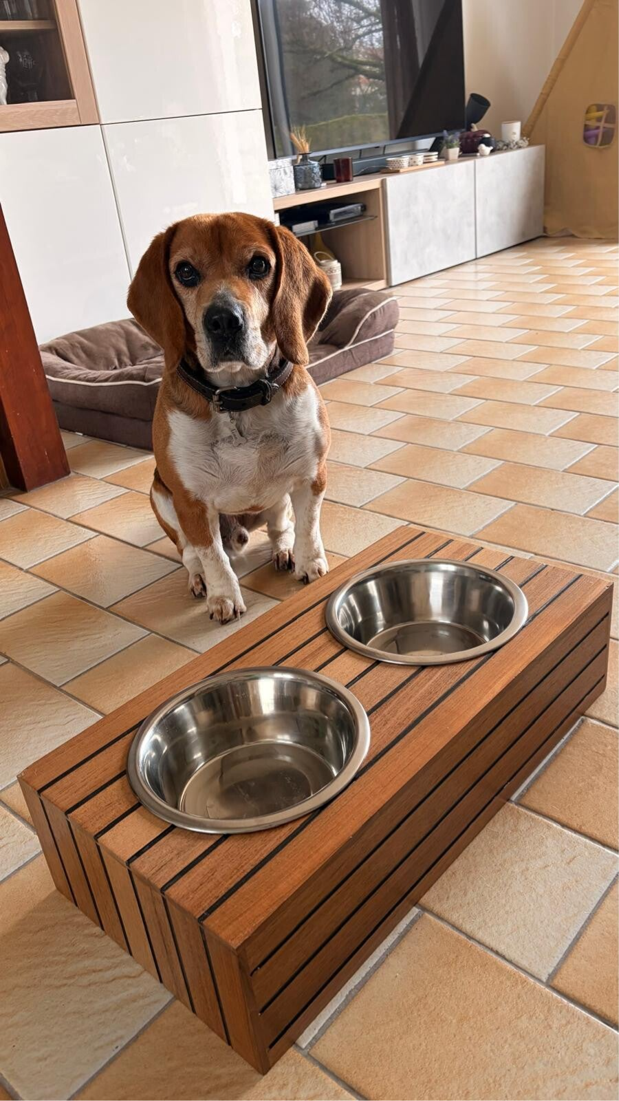 Gamelles surélevées chien 