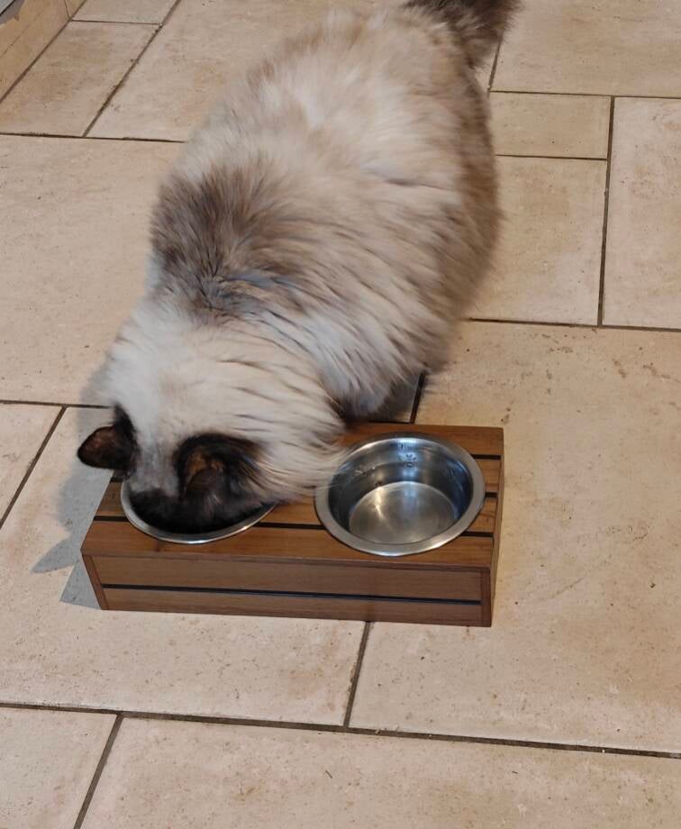 Support gamelles chat