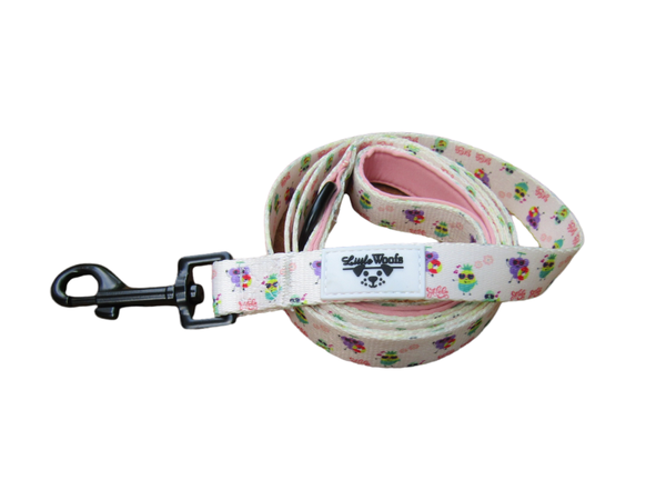Summer paws - leash