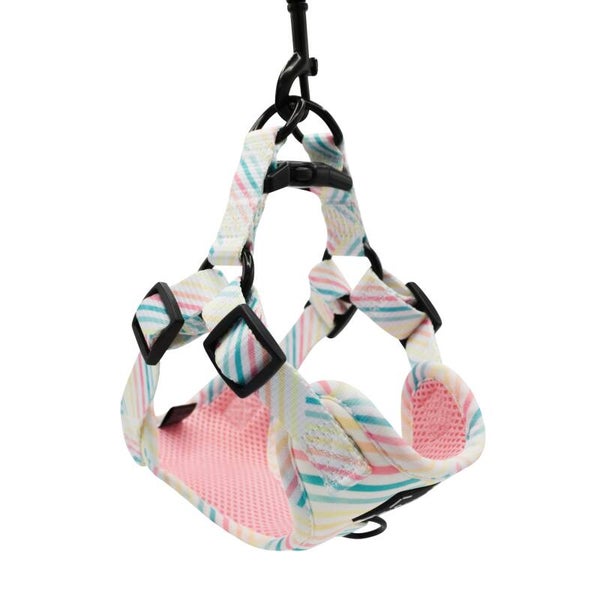 'Rainbow Sherbet' - Step-In Dog Harness
