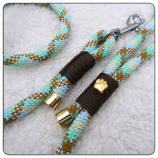 Iceland - Golden Paw