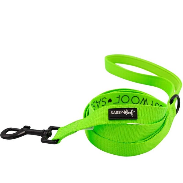 PRE-ORDER 'Neon Green' Dog Fabric Leash