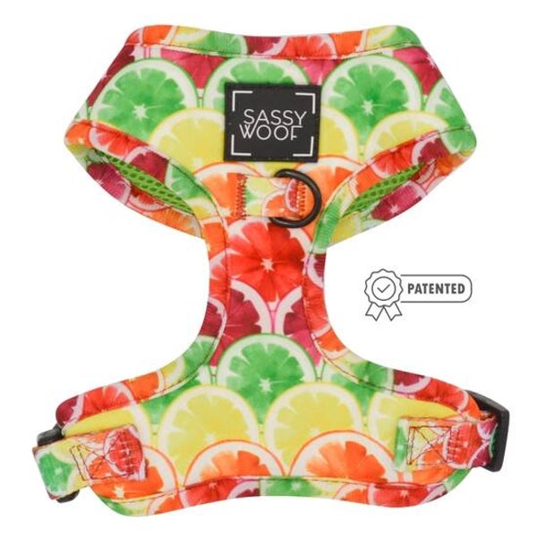 PRE-ORDER 'Citrus Got Real' Adjustable Dog Harness