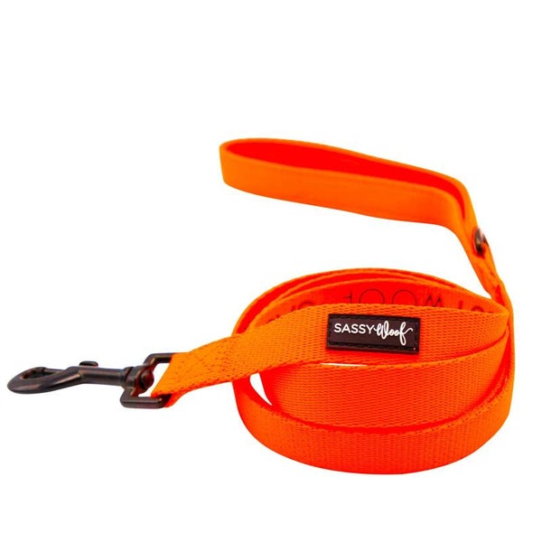 PRE-ORDER 'Neon Orange' Dog Fabric Leash