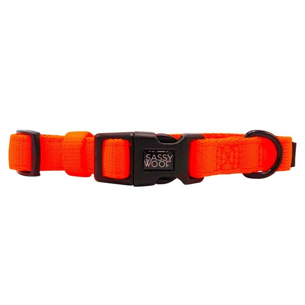 PRE-ORDER 'Neon Orange' Dog Collar