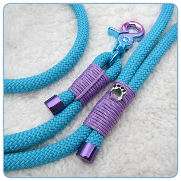 Ocean Blue - Dog Paw