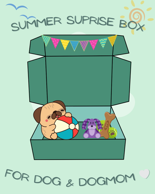 Summer Surprise Box