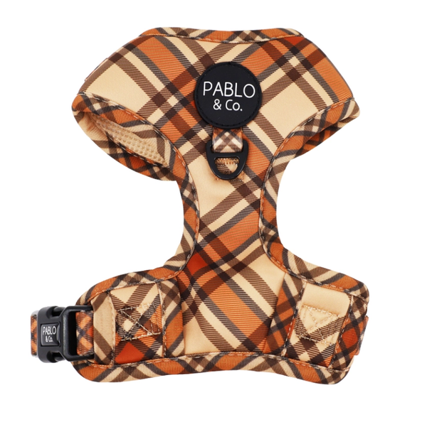 Kensington - Adjustable Harness