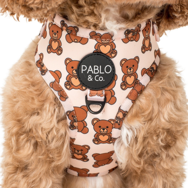 Teddy Bears - Adjustable Harness