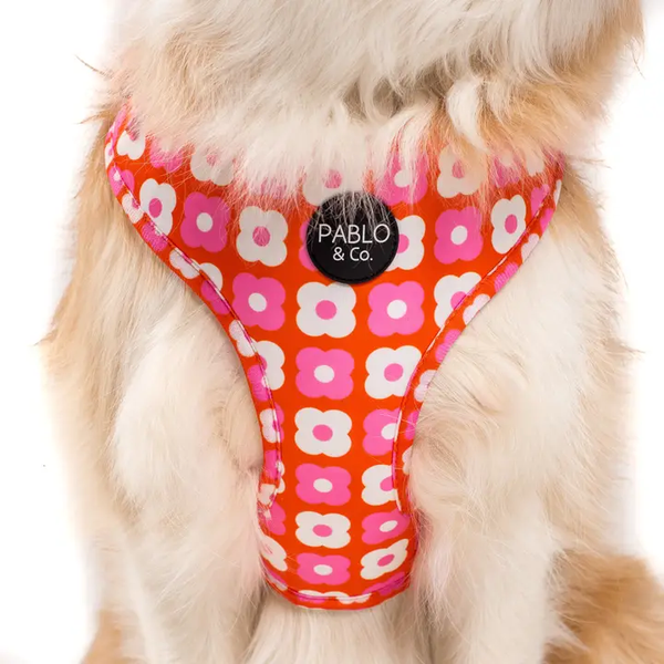 Pink Checkered Daisies: Adjustable Dog Harness