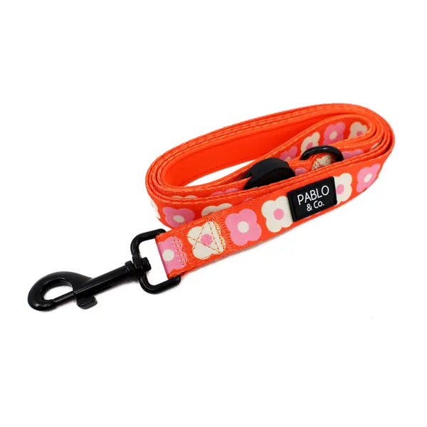 Pink Checkered Daisies: Dog Leash
