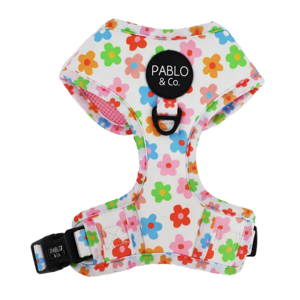 Posy: Adjustable Harness