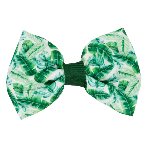 PRE-ORDER 'Verano' Dog Bowtie