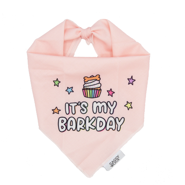 PRE-ORDER Barkday Dog Bandana - Pink