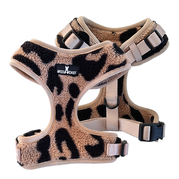 Harness - "UnBEARably Cute"