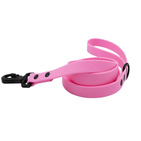 PRE-ORDER Waterproof Leash - Pink