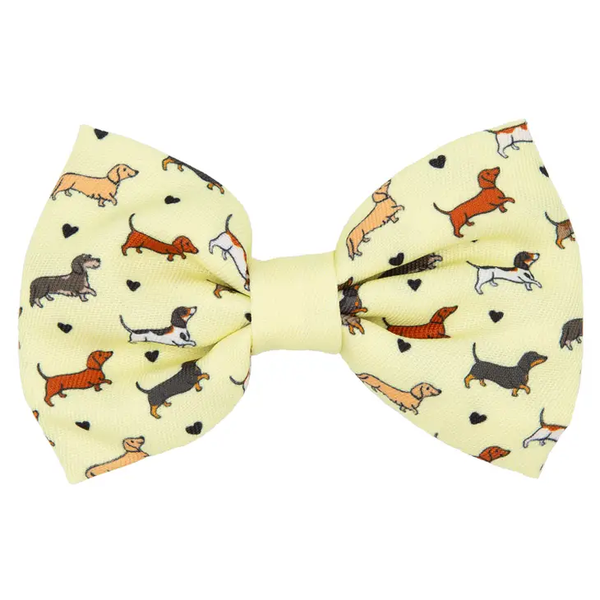 Dog Bowtie - Doxie Delight