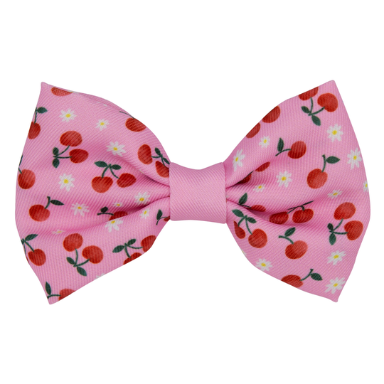 PRE-ORDER 'Mon Cherry' Dog Bowtie