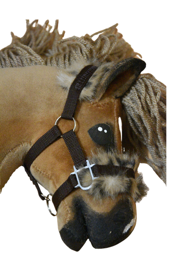 IW fur halter size foal - Glamour