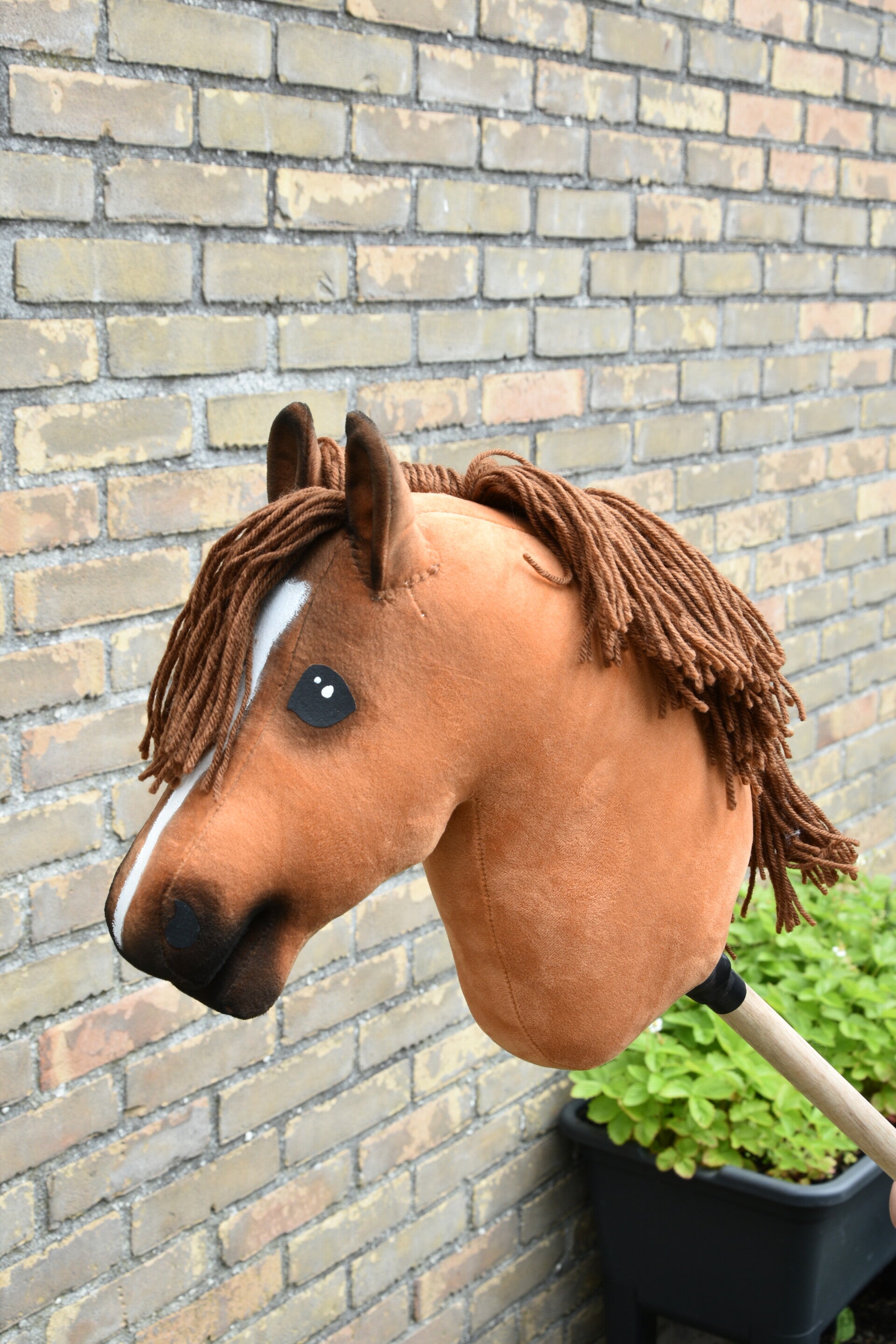 IW budgethobbyhorse size S-M 35