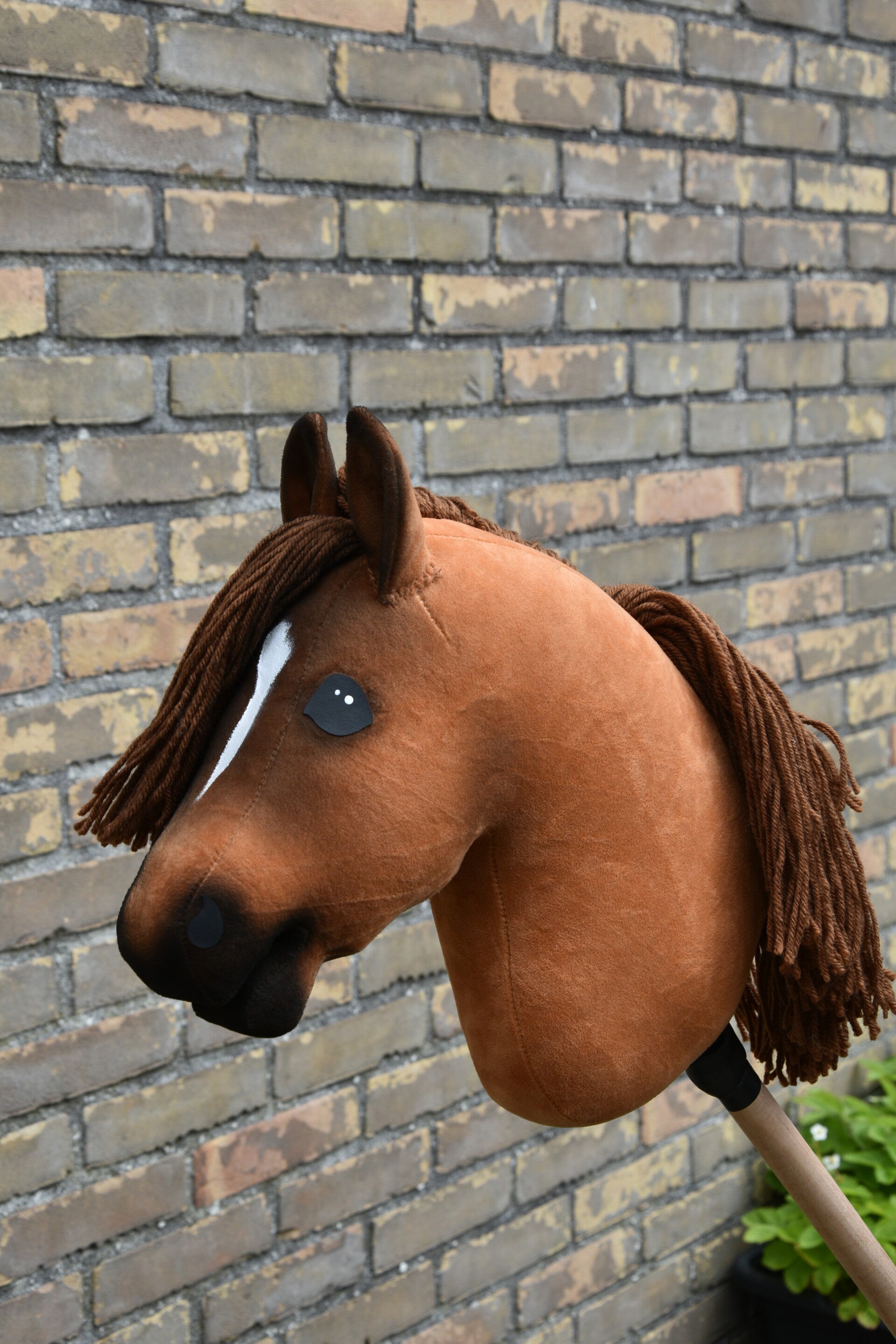 IW budgethobbyhorse size S-M 42