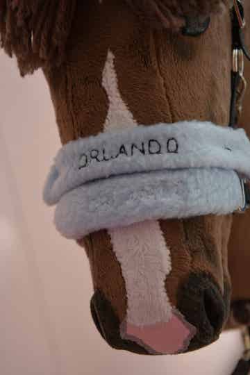 IW personalised halter