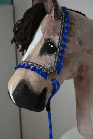 IW arabian showhalter blue