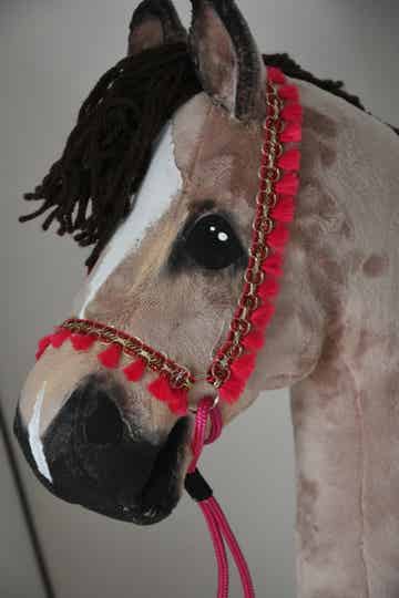 IW arabian showhalter fuchsia