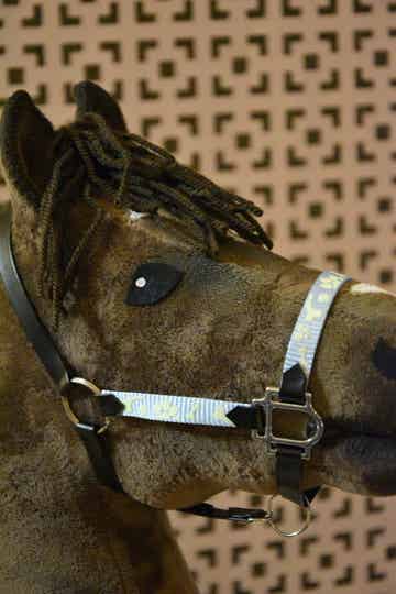 IW glow in the dark halster blue