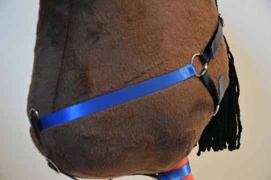 IW 3 points martingale cobalt blue