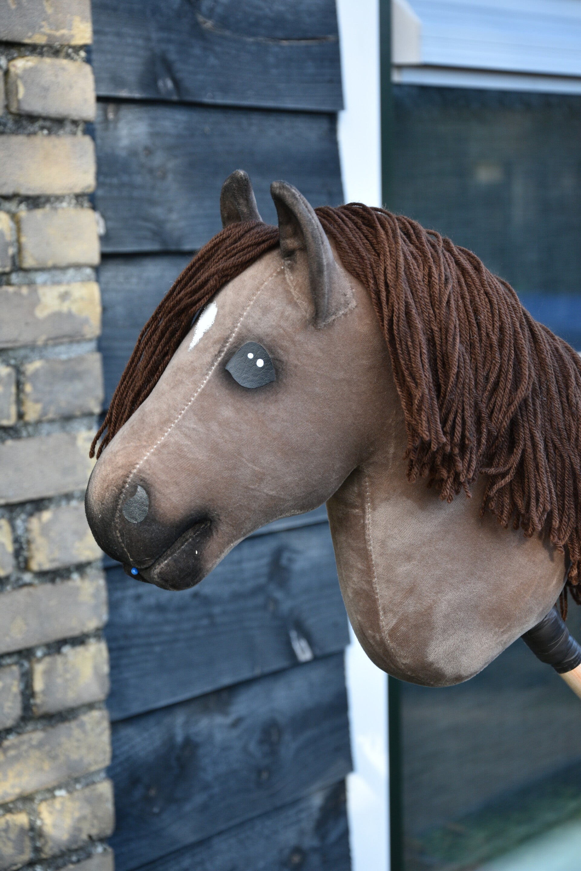 IW hobbyhorse budget 10