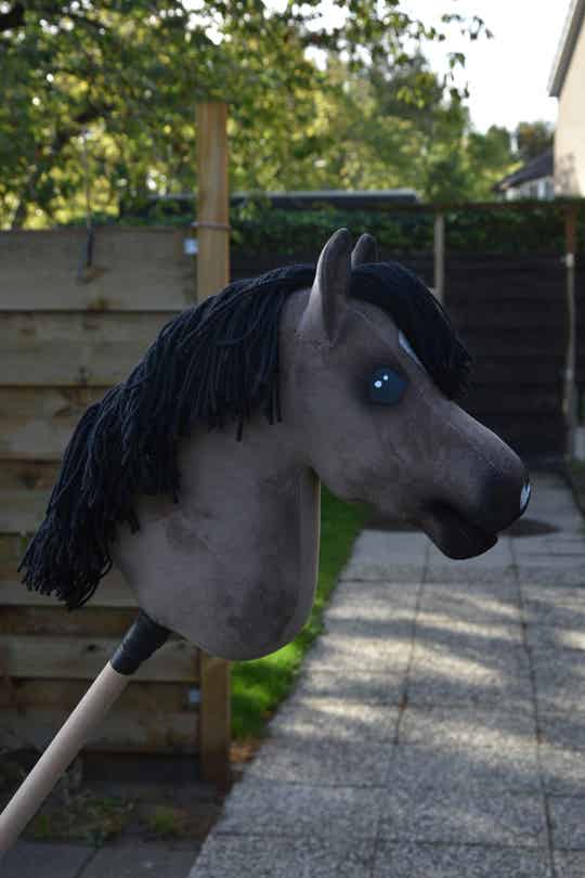 IW hobbyhorse budget 11