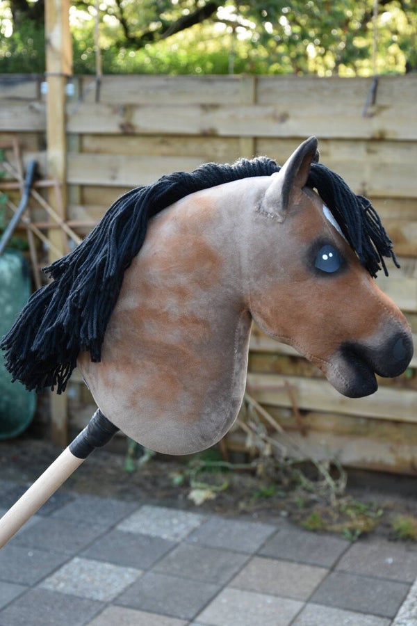 IW hobbyhorse budget 12