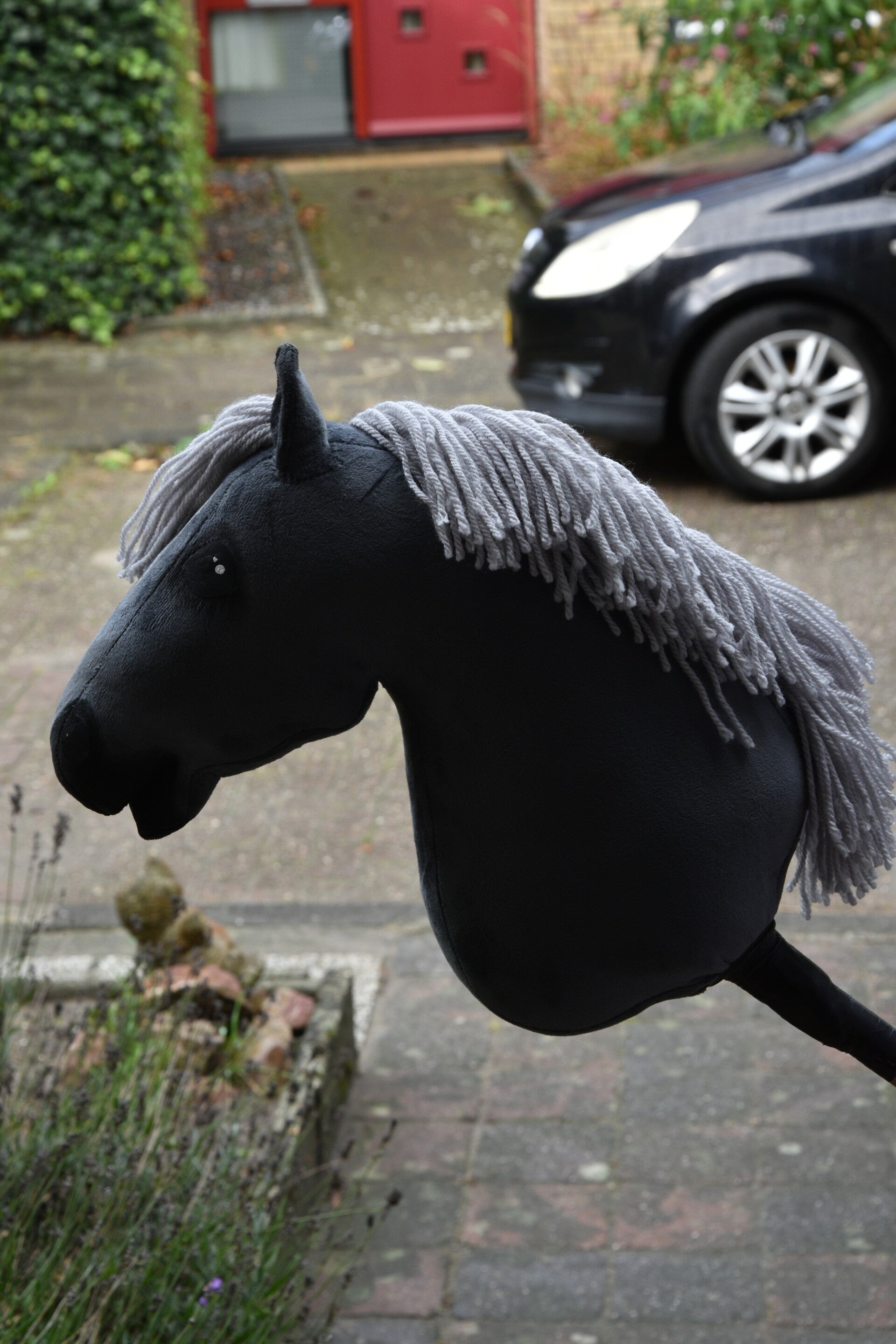 IW hobbyhorse size S