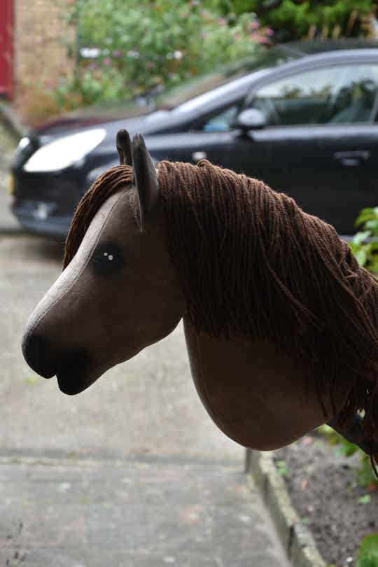 IW hobbyhorse budget 27