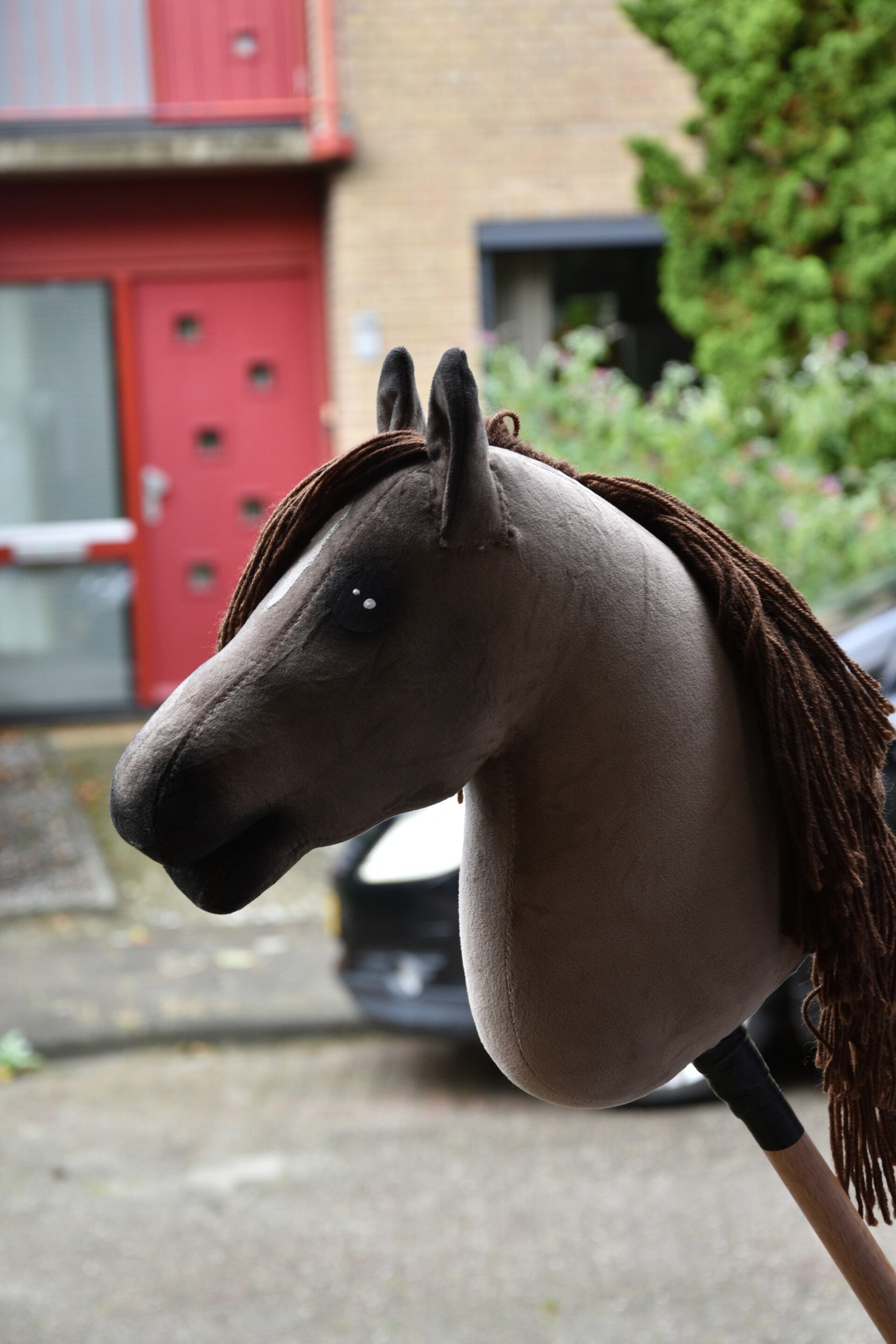 IW hobbyhorse budget 29