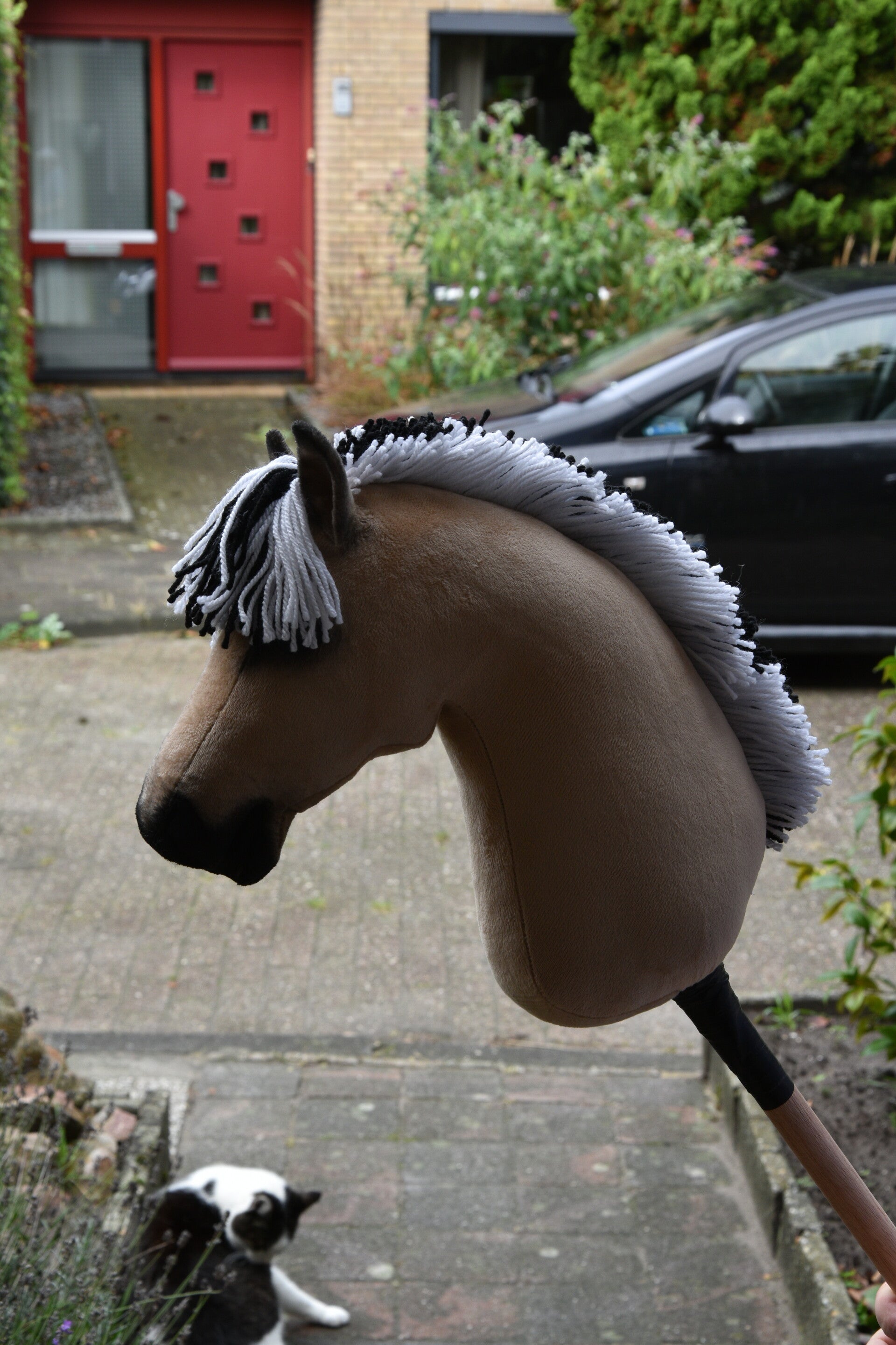 IW hobbyhorse size Johny