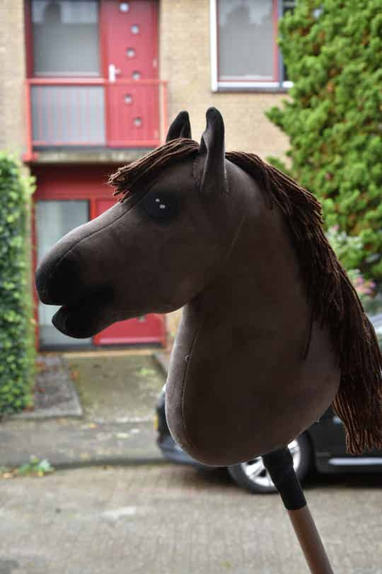 IW hobbyhorse budget 32