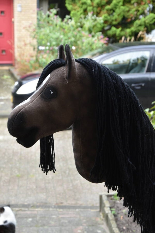 IW hobbyhorse budget 33