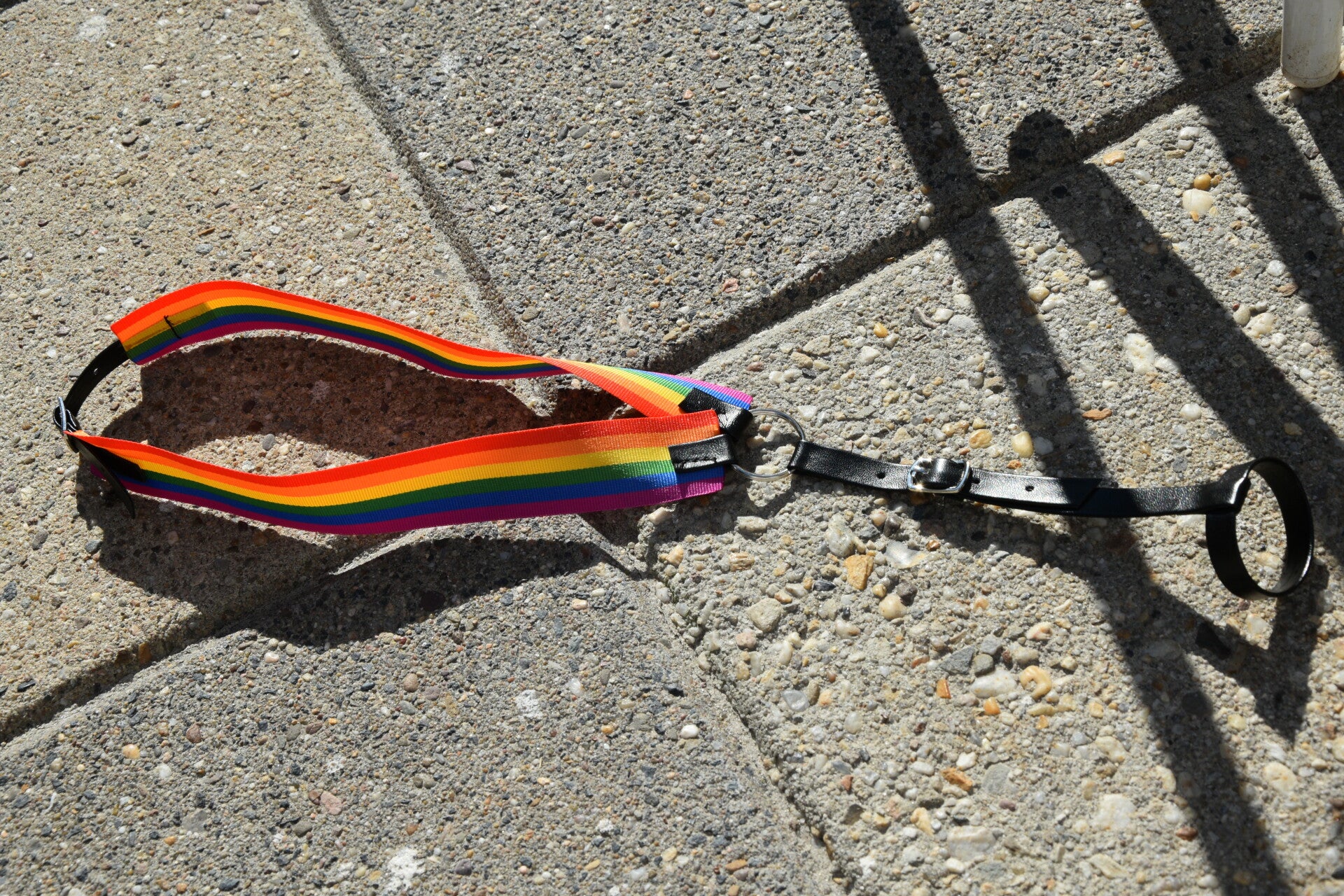 IW breastplate - non stretch- rainbow