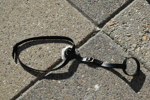 IW foal martingale - black glitter