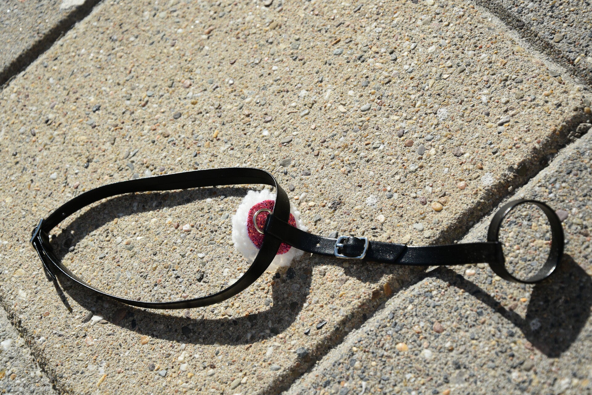 IW foal martingale - pink glitter