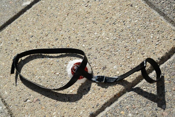 IW foal martingale - red dots glitter