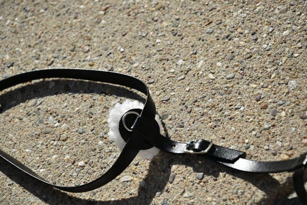 IW foal martingale - black