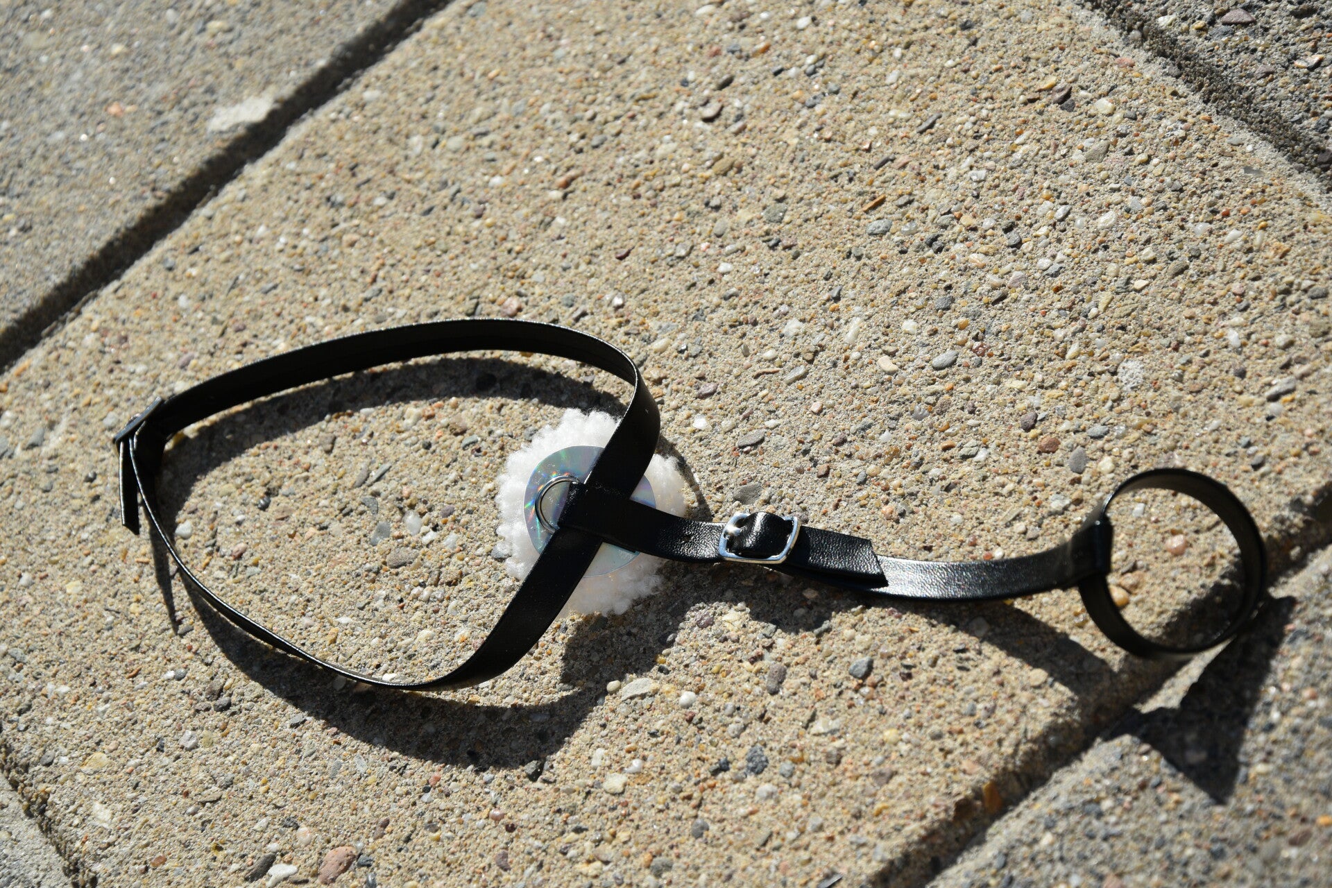 IW foal martingale -holo