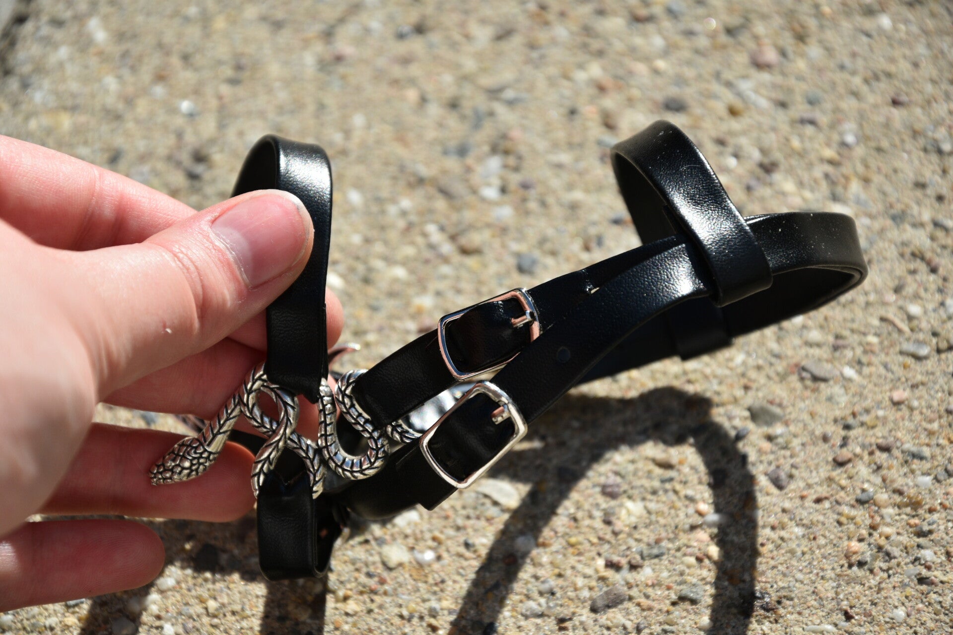 IW foal bridle snake- no fur