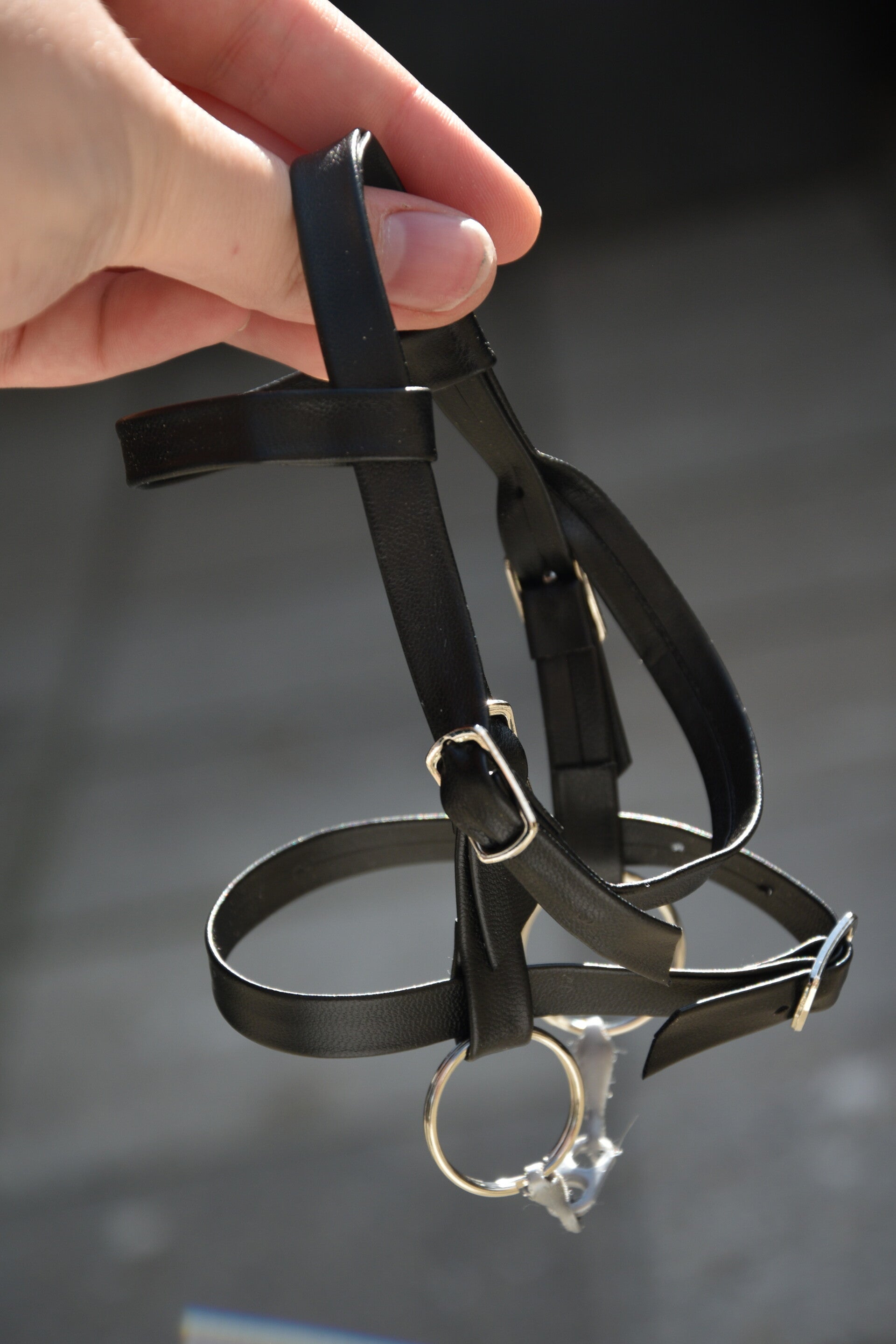 IW simple foal bridle