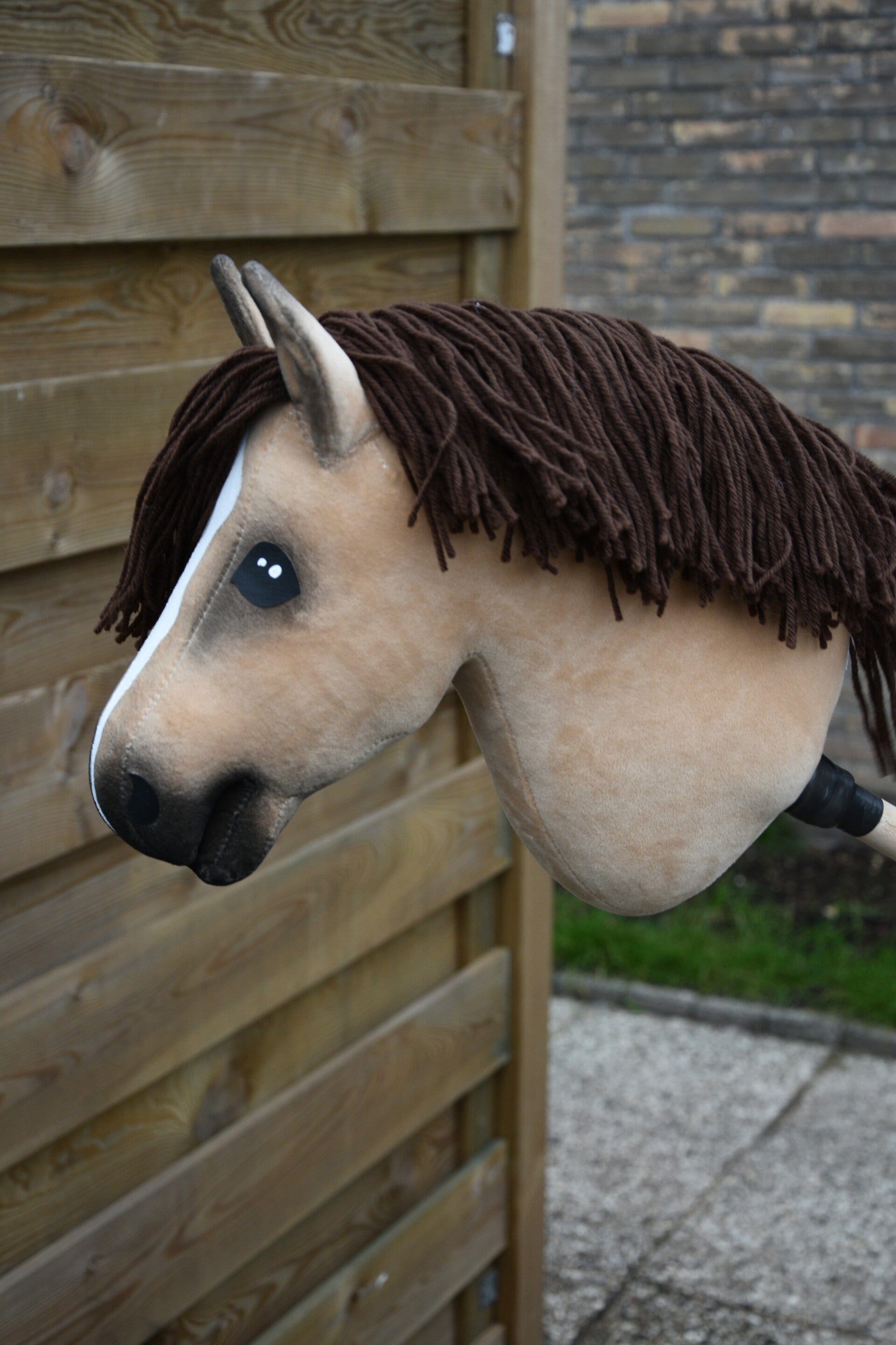 IW budgethobbyhorse size S-M 02