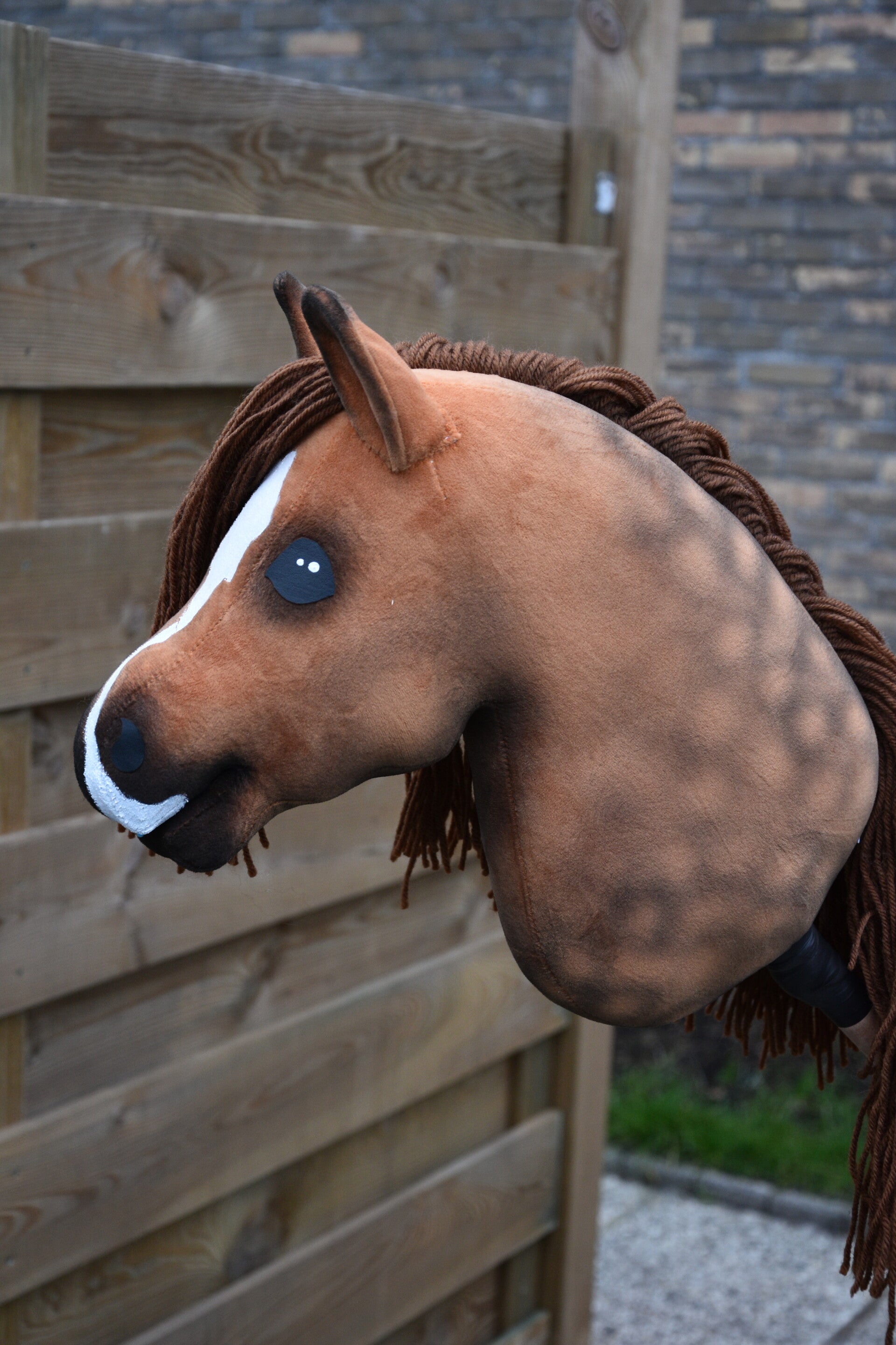 IW budgethobbyhorse size S-M 04