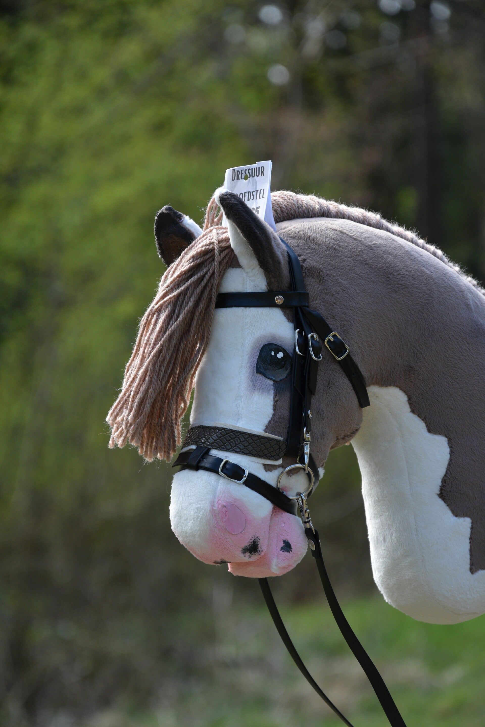IW luxe dressage bridle - Brown S/M